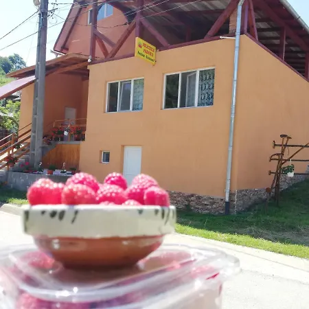 Hotel Fructele Padurii Baia de Aries
