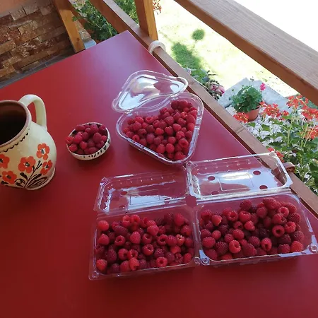 Hotel Fructele Padurii
