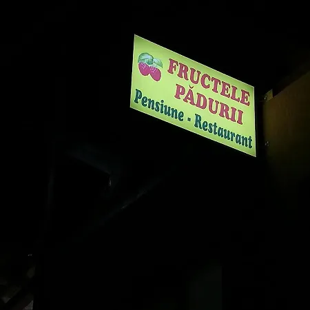 Hotel Fructele Padurii 3*